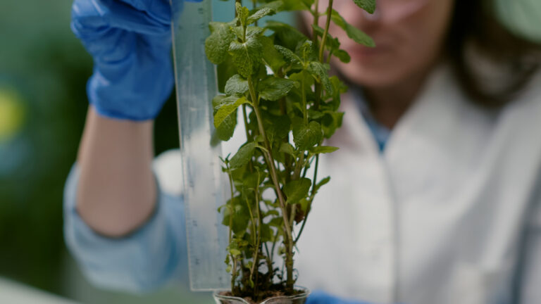 O Futuro da Análise de Bioinsumos em Sementes